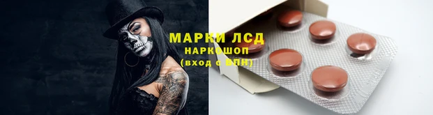 СК Нижний Тагил