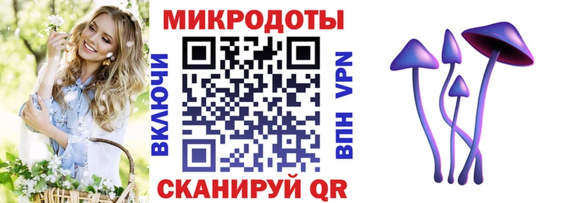 продажа наркотиков  hydra как войти  Галлюциногенные грибы мицелий  Кола 
